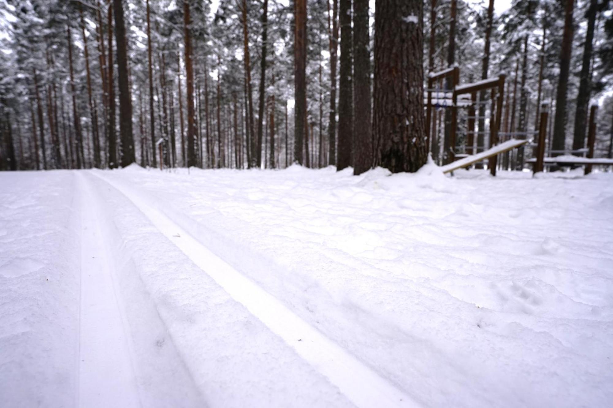 Home Aurora - Loft-Sauna-Wifi Rovaniemi Bagian luar foto